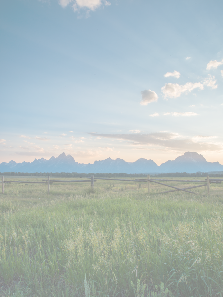 Outpost Notes: Anxiety through the lens of Philippians 4